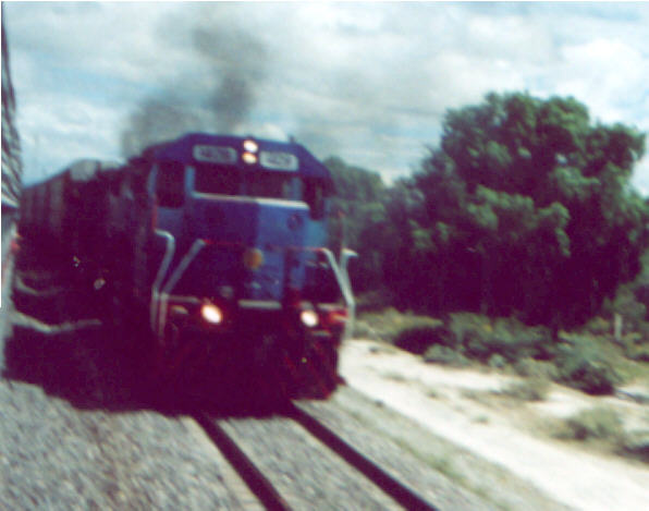 1419-13021.jpg